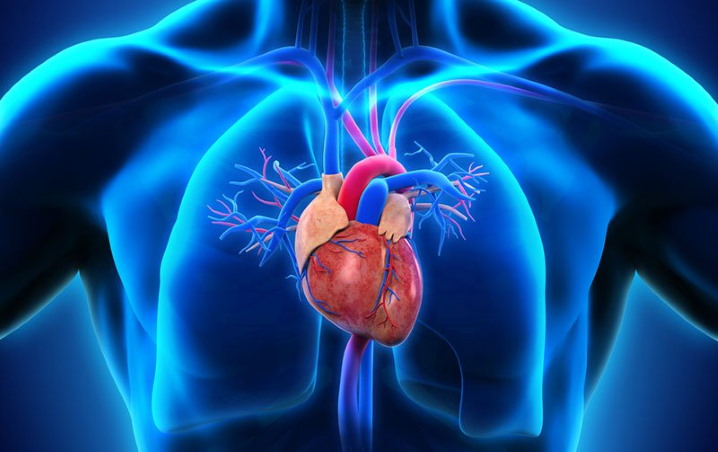 ضربان قلب طبیعی چقدر است ؟
